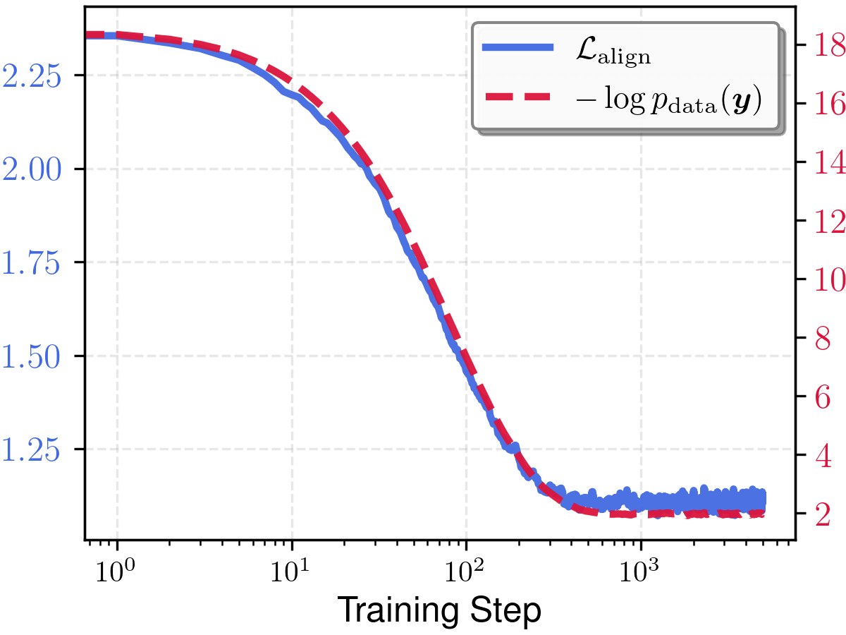 Loss curves